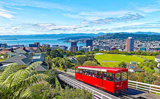 Wellington Travel Insurance